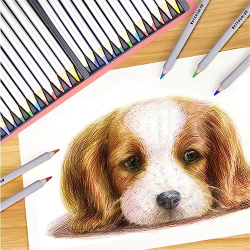 SIDUFHAOPKLL Colourful Iron Box Log Pencils Water Soluble Coloured Drawing Set Doodle Colouring