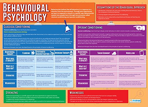 Psychological Approach Classroom Posters - Set of 5, 33" x 23.5", Laminated
