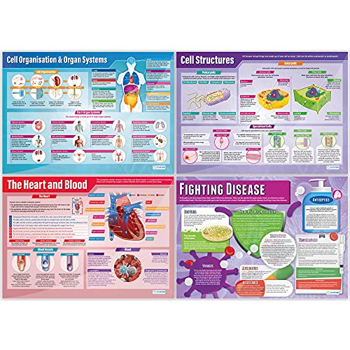 Biology Science Classroom Posters, Set of 13, EXTRA LAGE 33" x 23.5"