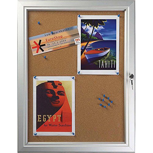 M&T Displays Enclosed Cork Bulletin Board Silver Aluminum Outdoor Noticeboard for Office School Classroom Hospital Commercial Use (4X(8.5x11 in))