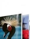 Self-stick Adhesive Foam Boards 24"x36" (25)