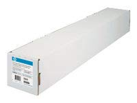 Everyday Adhesive Matte Polypropylene, 120 g/m2, 42'' x 75 ft, White, 2 Rolls/Pk, Sold as 1 Package