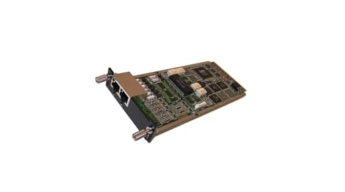 AudioCodes M1KB-VM-2SPAN Voice Module for VoiceT1/E1 - 2 x Expansion Slots - VIC