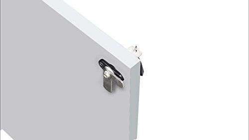 Hayes Modern 2 Door Storage Cabinet with Glass Doors - White