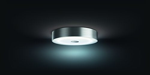 Philips Hue White Ambiance Fair Dimmable LED Smart Flushmount (Works with Alexa  Apple HomeKit, and Google Assistant)