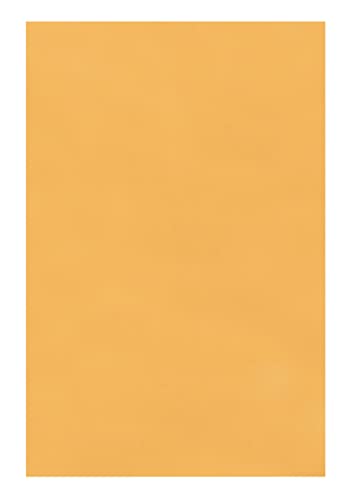 Quality Park Catalog Envelopes, Redi-Seal, Brown Kraft, 10 x 15, 250 per Box, (43862)