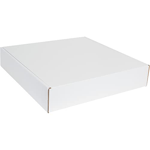 BOX USA BMFL20204 Deluxe Literature Mailers, 20" x 20" x 4", White (Pack of 25)