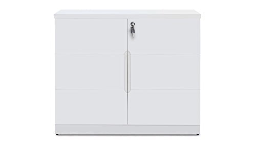 Hayes Modern 2 Door Storage Cabinet with Glass Doors - White