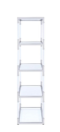Acme Furniture 91246 Raegan Bookshelf with Glass