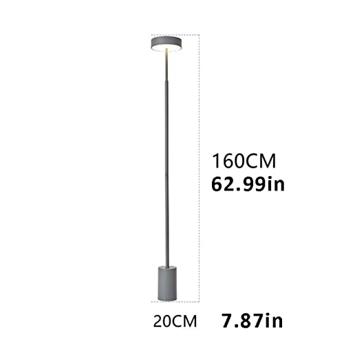 WAOCEO LED Floor Lamp 160cm Simple Style Standing Reading Lamps - B(Black)