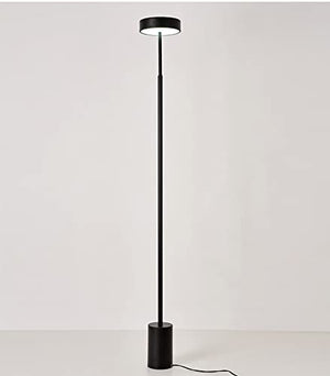 WAOCEO LED Floor Lamp 160cm Simple Style Standing Reading Lamps - B(Black)