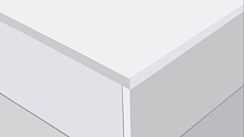 Hayes Modern 2 Door Storage Cabinet with Glass Doors - White