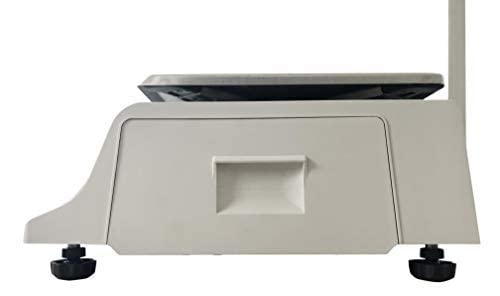 VisionTechShop DLP-300 Label Printing Scale Pole Display, 30/60lbs Capacity, NTEP Legal for Trade, Free CAS LST-8040 Label