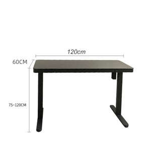 SanzIa Height Adjustable Standing Desk, Ergonomic Computer Workstation, Single Motor Sit Stand Desk (Without Chair)