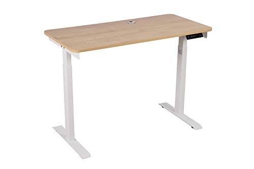 Electric Standing Desk,Adjustable Height Desk,Home Office Workstation Stand Up Desk for Small Space