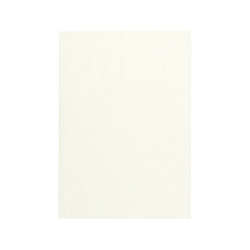Survivor R4290 Tyvek Expansion Mailer, 12 x 16 x 2, White, 18lb (Case of 100)