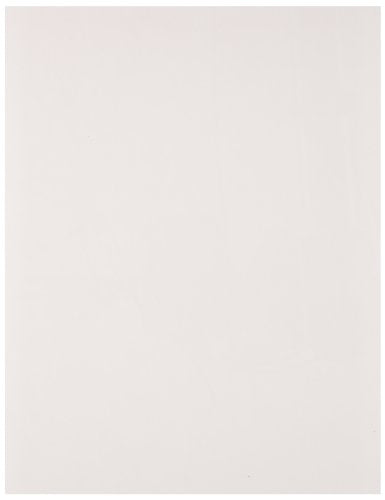 Brady LAT-28-747-25-SH 8.5" Width x 11" Height, B-747 Permanent Polyester, Matte Finish White Lasertab Laser Printable Label (Pack of 25)