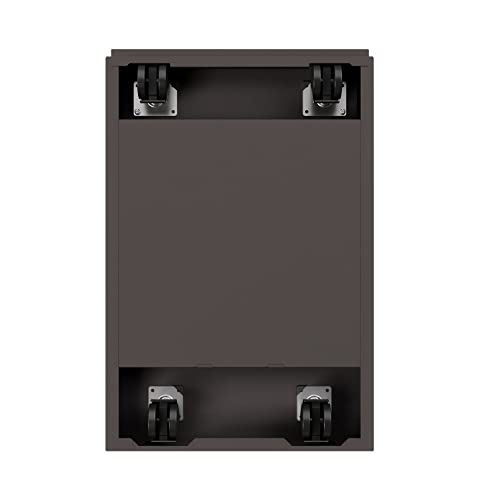 Hirsh Industries 20" Deep 2 Drawer Mobile File Cabinet in Medium Tone
