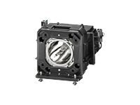 Panasonic Replacement Lamp for PT-DZ870 Series (Twin Pack) ET-LAD120W