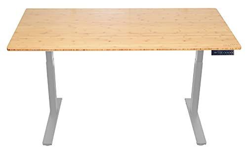 RISE UP dual motor electric standing desk 60x30" bamboo desktop premium ergonomic adjustable height sit stand up home office computer desk table motorized powered modern furniture small standup