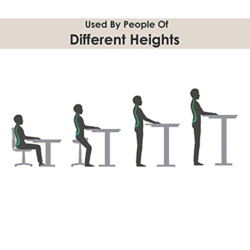 Tulib Height Adjustable Electric, 48 x 24 Inches Workstation Computer Table, Ergonomic Sit Stand Home Office Desk, 4824inch, Walnut