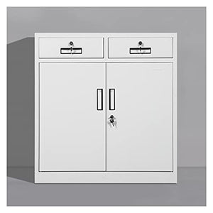 SUNESA File Cabinet with Lock Data Tool Storage - 1 Size