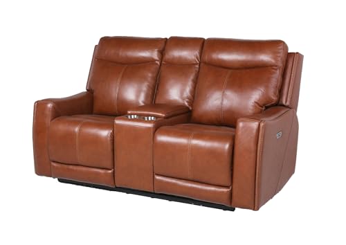 Aienid Contemporary Style Motion Set Top Grain Leather Power Recliner with USB Charging