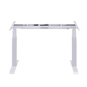 SanzIa Electric Standing Desk, Height Adjustable Dual Motor Sit Stand Workstation, 264lbs Capacity, Memory Presets, USB & Child Lock (Style 1, 120x60x60-125cm)