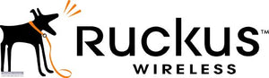 Ruckus Wireless - End User Watchdog Support for ZoneDirector License Upgrade 1106 to 1125, 5-Year