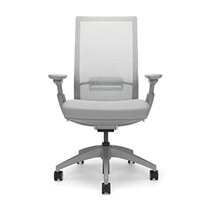 Allsteel Evo Office Chair with Lumbar Support, Adjustable Arms, Activated Recline - Gray Frost Mesh