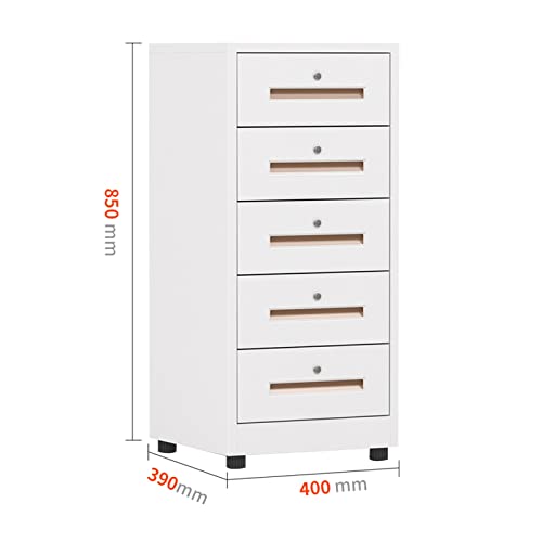 GRFIT 5 Drawer Vertical Metal File Cabinet with Lock - Black