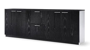 Zuri Furniture Reagan Modern Black Storage & Filing Cabinet Credenza