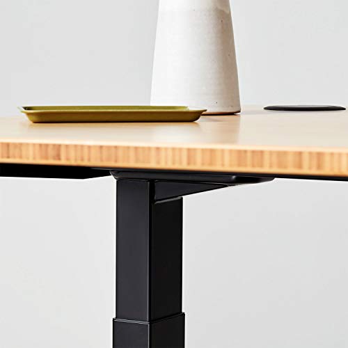 Fully Jarvis Standing Desk 48" x 30" Bamboo Top - Electric Adjustable Desk Height from 25.5" to 51" with Memory Preset Controller (Rectangle, Silver Frame)