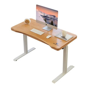 SanzIa Electric Standing Desk with Drawer, Adjustable Height Sit Stand Up Desk