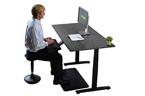 Rise UP Dual Motor Electric Standing Desk 60x30 Black Bamboo Desktop Premium Ergonomic Adjustable Height sit Stand up Home Office Computer Desk Table Motorized Powered Modern Furniture Small Standup
