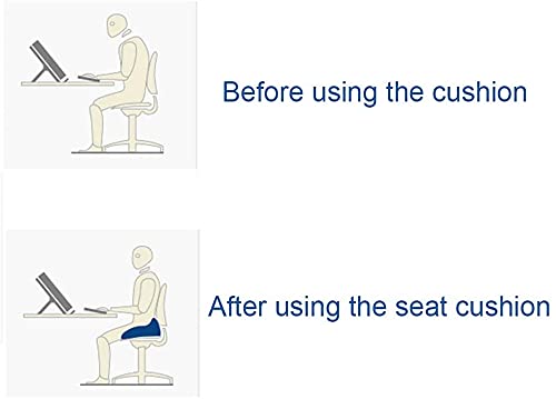 GIENEX Memory Foam Seat Cushion for Office Chair - Tailbone, Sciatica, Lower Back Pain Relief - Posture Corrector