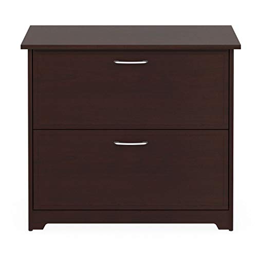 StarSun Depot 2-Drawer Lateral File Cabinet in Cherry Wood Finish