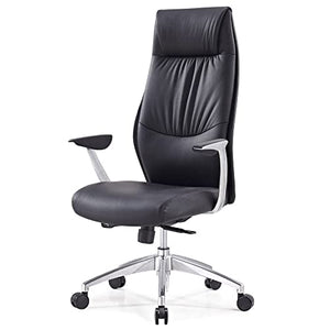 Zuri Furniture Modern Franklin Genuine Leather Executive Chair - Black