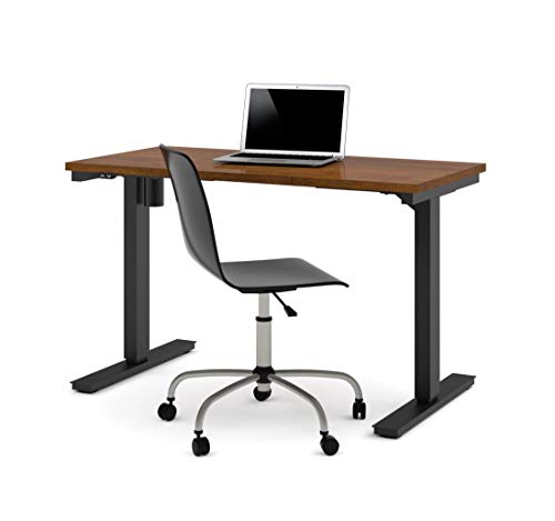 24“ x 48“ Standing Desk