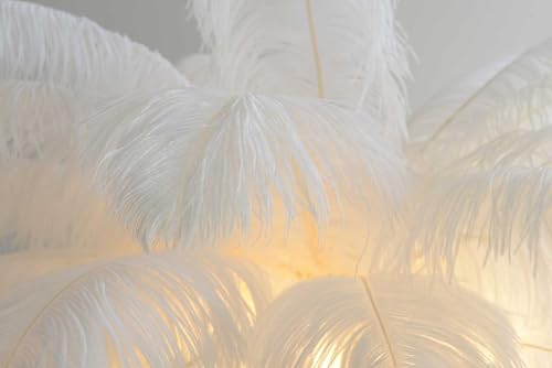 NBVNBV Modern Luxury Ostrich Feather Floor Lamp - Dimmable Standing Lamp for Villa, Home, Hotel - Nordic Decoration Home Resin Floor Lighting