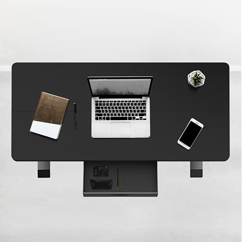 Electric Height Adjustable Standing Desk, 48 x 24 Inch Stand Up Desk Workstation with Desktop (03, Black)