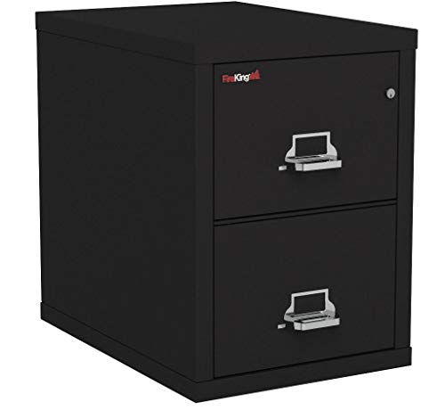 FireKing Fireproof Vertical File Cabinet (2 Legal Sized Drawers, Impact Resistant, Waterproof), 27.75" H x 20.81" W x 31.56" D, Black