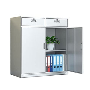 Lingula Vertical File Cabinet with Printer Storage and Lock - Office, Living Room, Bedroom, Kitchen - Color: B