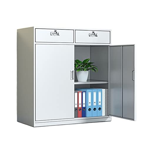 Lingula Vertical File Cabinet with Printer Storage and Lock - Office, Living Room, Bedroom, Kitchen - Color: B