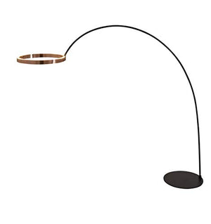 Artiva USA "Ring of Light" Geometric 60W LED Arched Floor Lamp