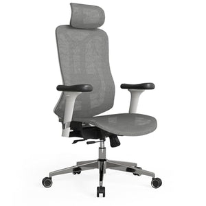 Fradiett Ergonomic Mesh Office Chair - High Back Desk Chair with 3D Armrest & Lumbar Support