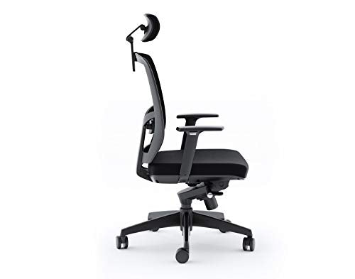 BDI 223DHF B Office Chair, Black Fabric