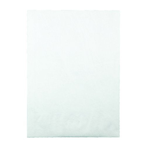 Survivor R4200 Tyvek Expansion Mailer, 10 x 13 x 1 1/2, White, 18lb (Case of 100)