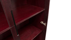 Zuri Furniture Hayes Modern Executive Storage Unit - Mahogany