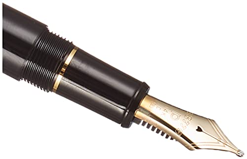 Platinum"#3776 Century/Black in Black"(Nib : Medium)
